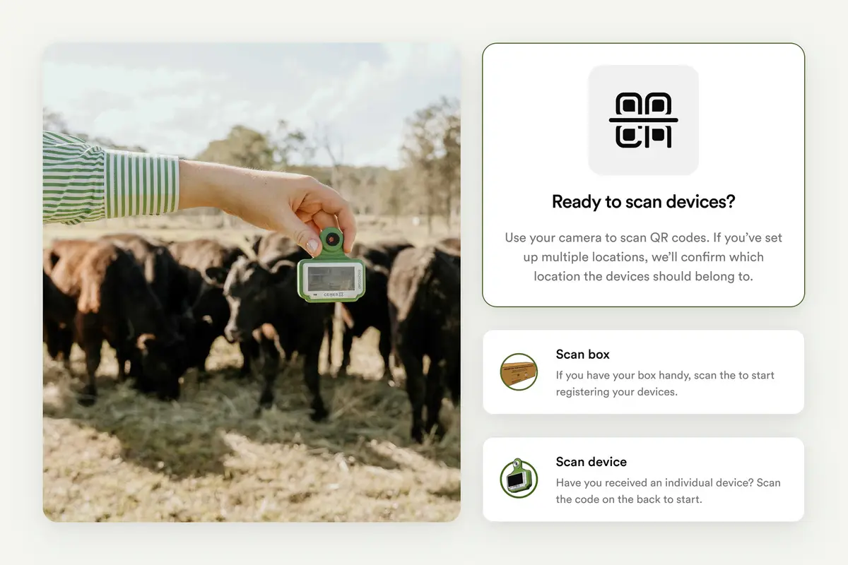 Hand scanning a cattle ear tag beside app screens for scanning devices