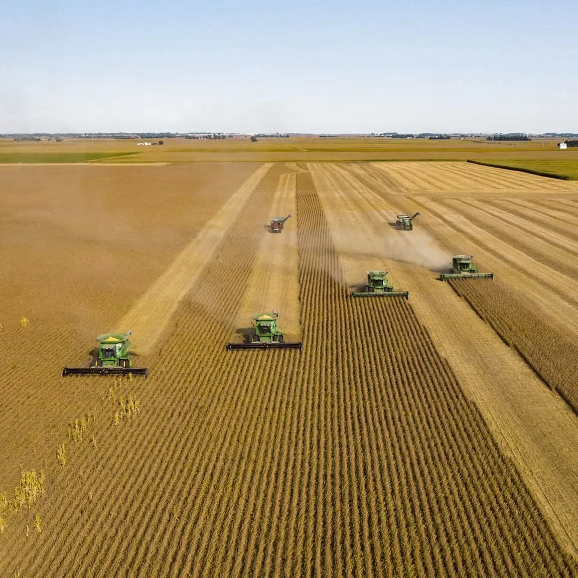 Aerial view of combine harvesters working a large grain field
