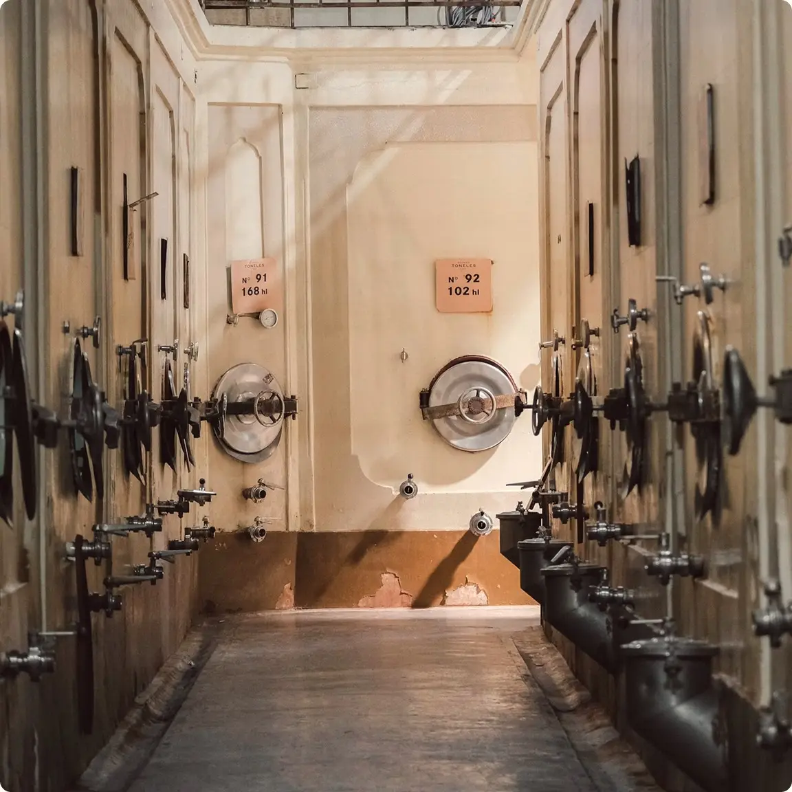 Corridor of large numbered wine fermentation tanks in a winery
