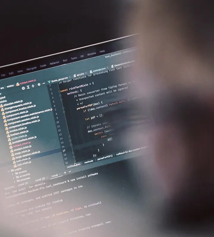 CodeFish Studio developing a mobile app